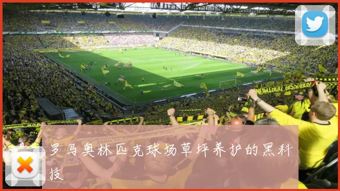 罗马奥林匹克球场草坪养护的黑科技