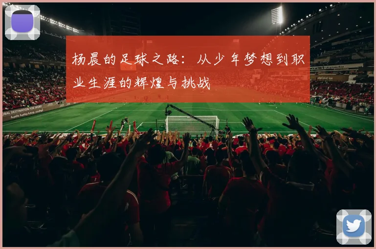 杨晨的足球之路：从少年梦想到职业生涯的辉煌与挑战