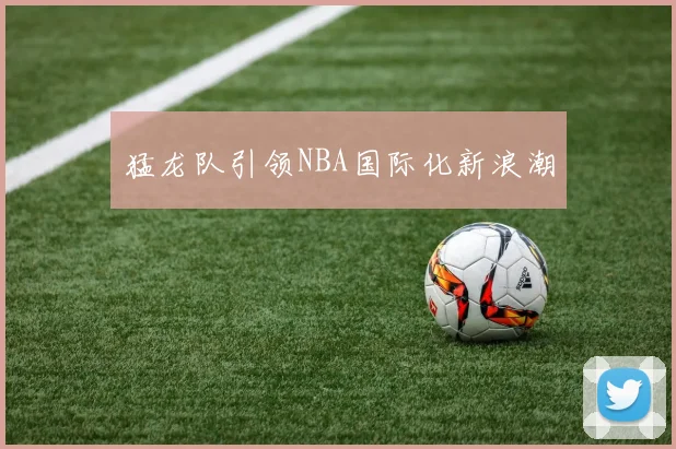 猛龙队引领NBA国际化新浪潮