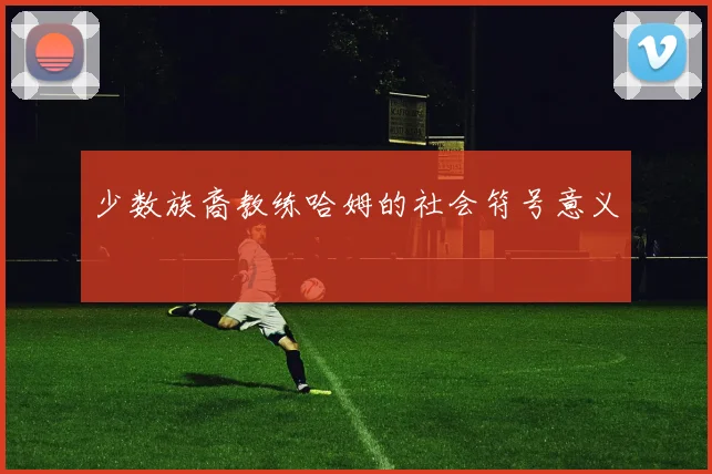 少数族裔教练哈姆的社会符号意义