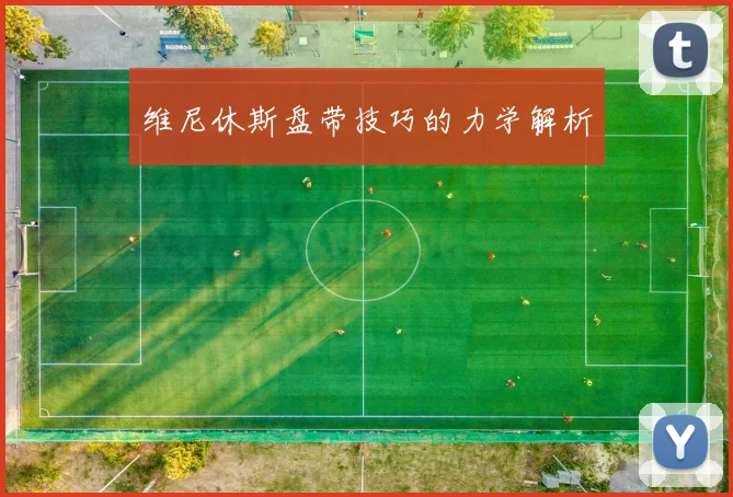 维尼休斯盘带技巧的力学解析